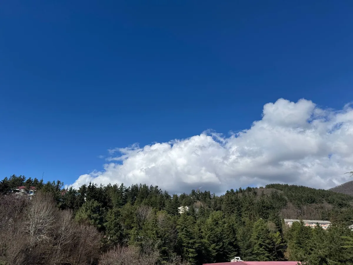 Берендеево царство: сказочные водопады у Лазаревского 2026