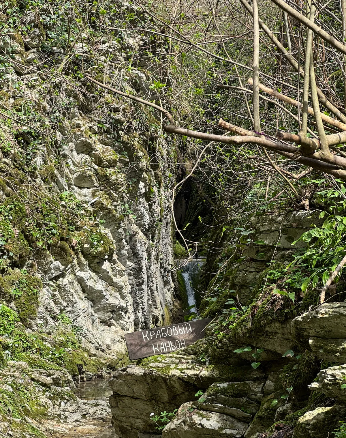 Крабовое ущелье в Лазаревском: маршрут с детьми 2026